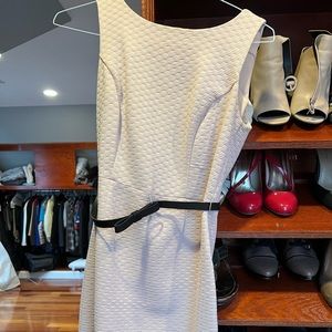 Cocktail, office, date night dress from the limited